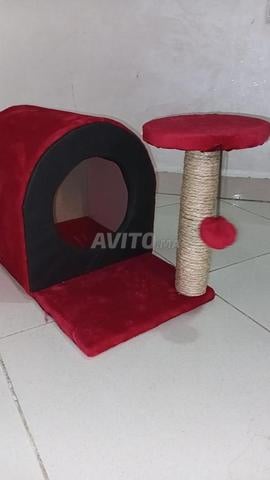 Maison pour chat neuve jamais utilisée