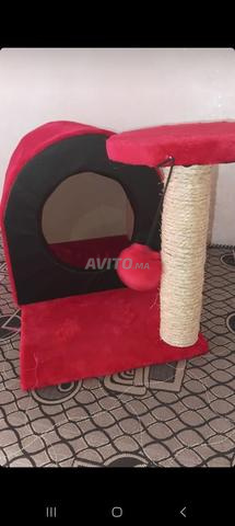 Maison pour chat neuve jamais utilisée - 2