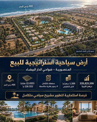 22 هكتارًا بجانب البحر