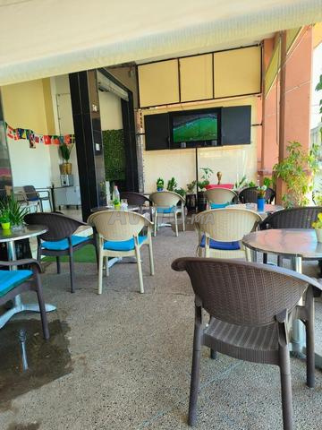Café Al Iraqi à vendre, prix raisonnable - 2