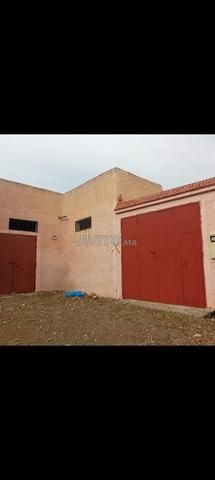 Ferme complète, enregistrée. 9 hectares. Équipée. Taounate - 2