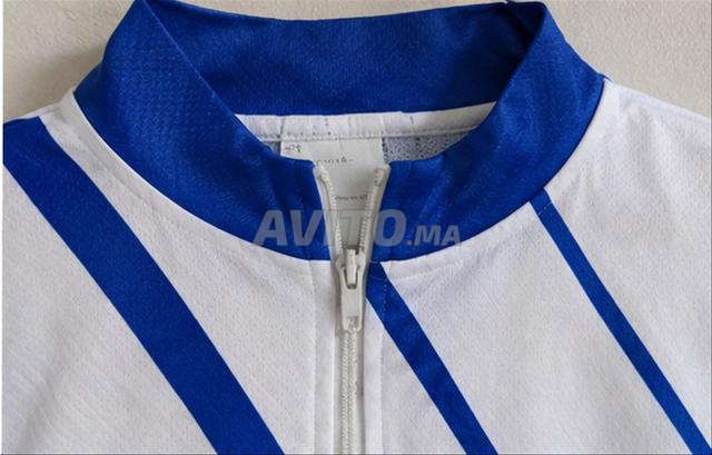 Maillot Campagnolo Bleu Blanc - 2