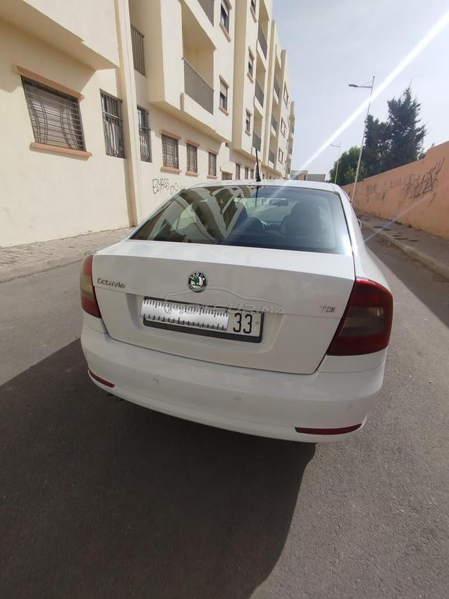 سكودا اوكتافيا