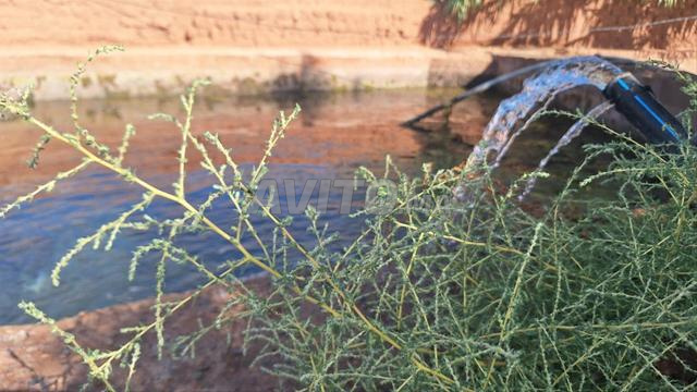 Recherche d’eau sur vos terrains