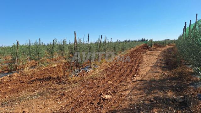 Recherche d’eau sur vos terrains - 2