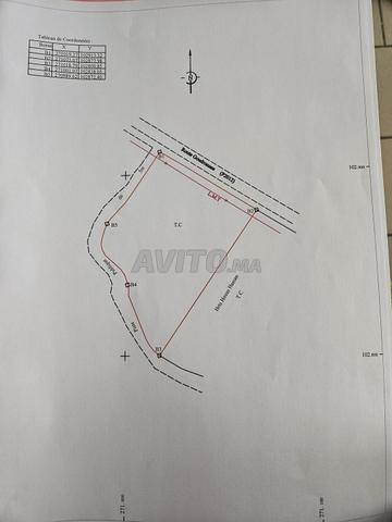 TERRAIN CONSTRUCTIBLE DE 5 000 m² - 2