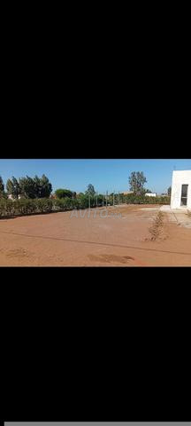 1100 mètres construits, 160 mètres carrés - 2