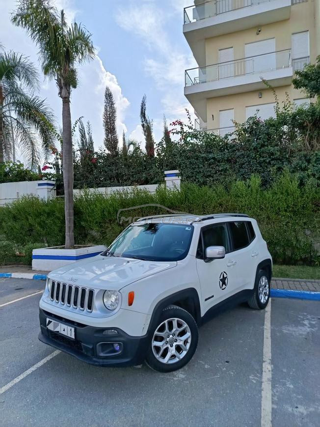 jeep RENEGADE tt options 