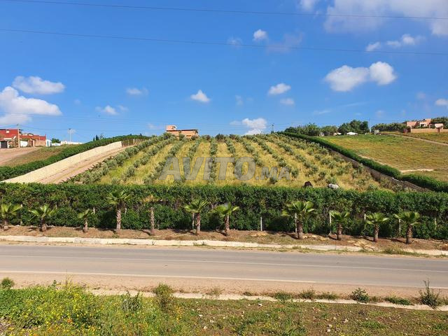 Ferme à vendre