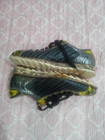 Chaussure Harris originale