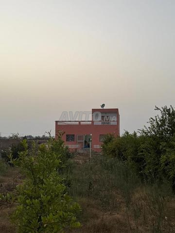 🌿ÀVENDRE BELLE FERME 3000m² 20 KM D’ELJADIDA 🏡🌳 - 2