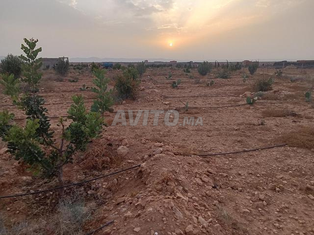 Terrain Agricole - 2