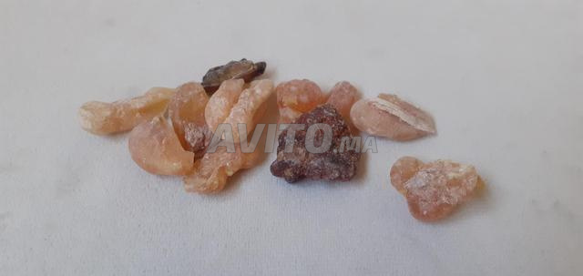 Encens de gomme arabique libre 50dh le gramme - 2