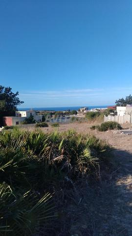 Terrains pour construire une villa - 2