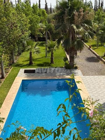 Villa Piscine 3ch - Bouzama - Meublée ou vide