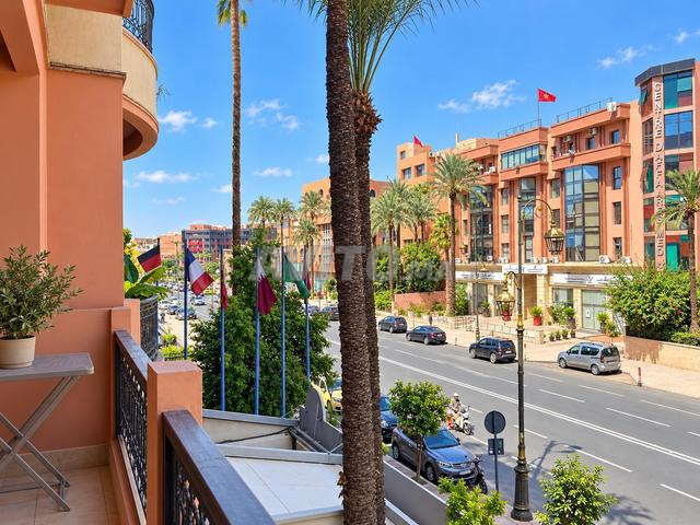 Avenue Mohammed V – Studio 54 m² avec Terrasse - 2