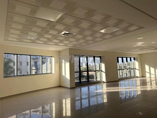 Plateau de bureaux à louer 300 m² Oasis - 2