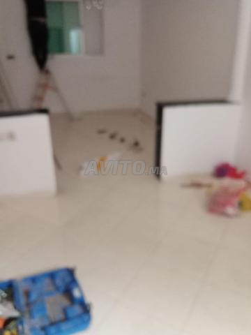شقة للإيجار في الرياض، أولاد امتع