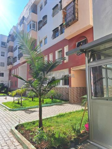Bel appartement meublé à louer