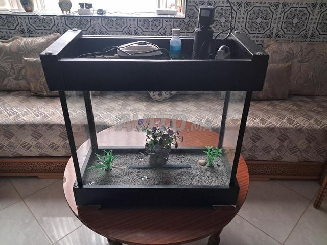 Aquarium complet pour poissons