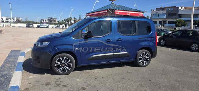 doblo tout option 