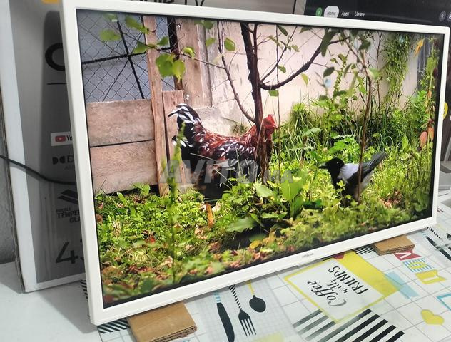 TV Smart Android officielle 32 pouces - 2