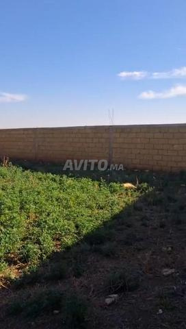 Terrain à vendre dans la province de Settat, Kdana, Douar Granta - 2