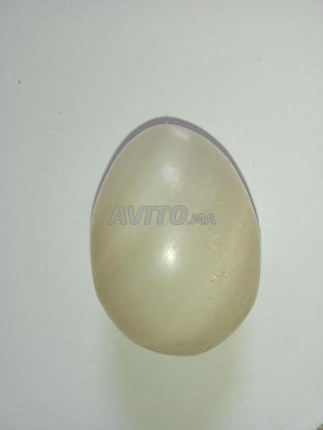 Œuf. Agate Marbre. - 2