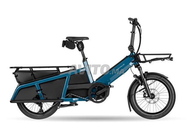 Vélo électrique cargo CX - 2