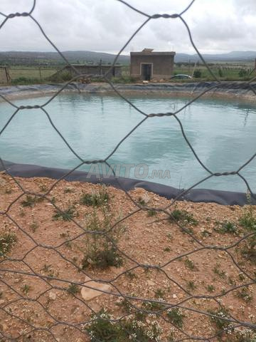 Ferme 2 hectares Titri - 2