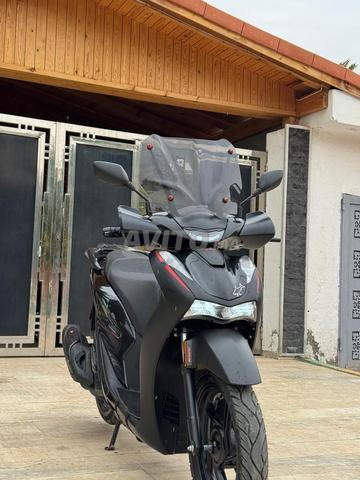 CIMATTI XH 200cc - 2