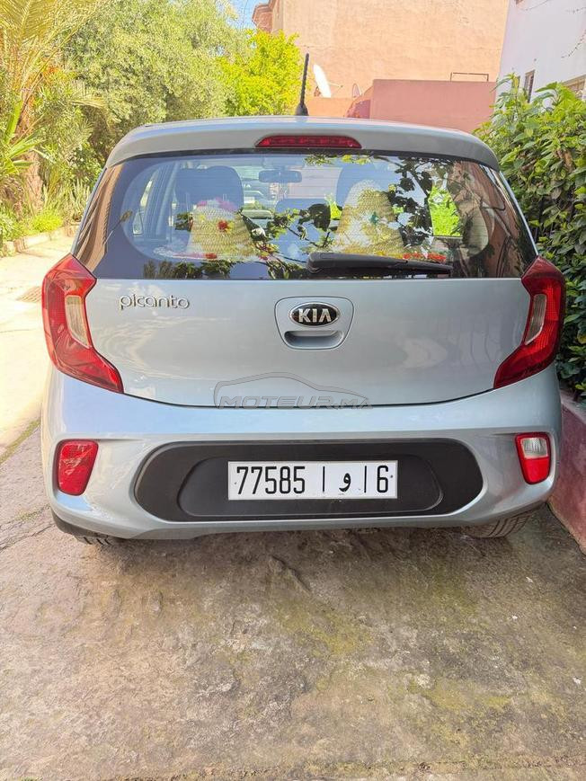 voiture picanto