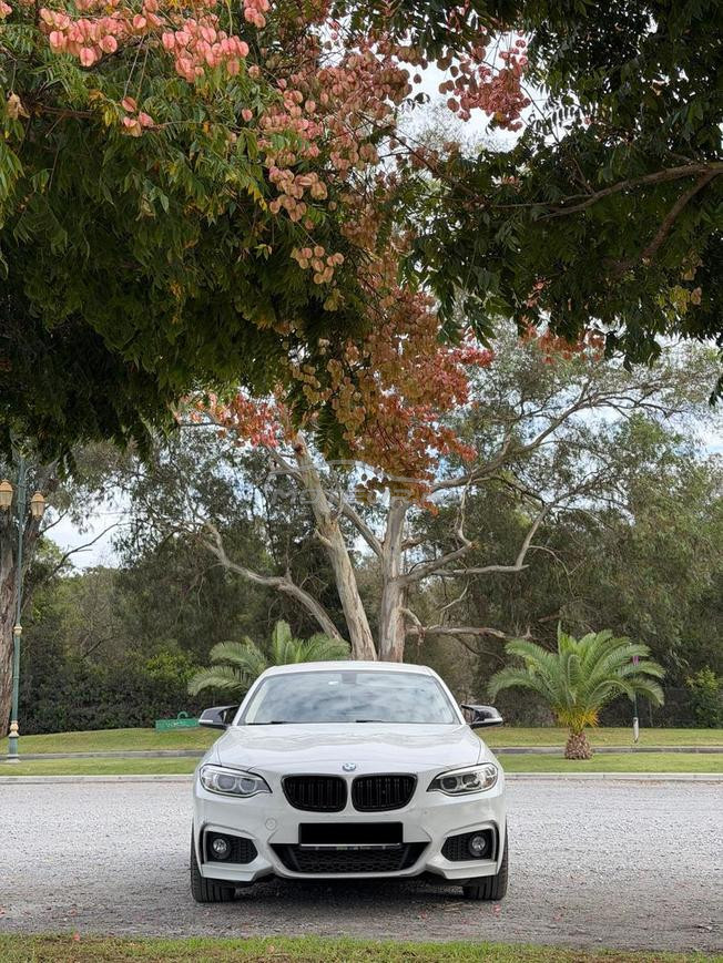 BMW f22 serie 220d 