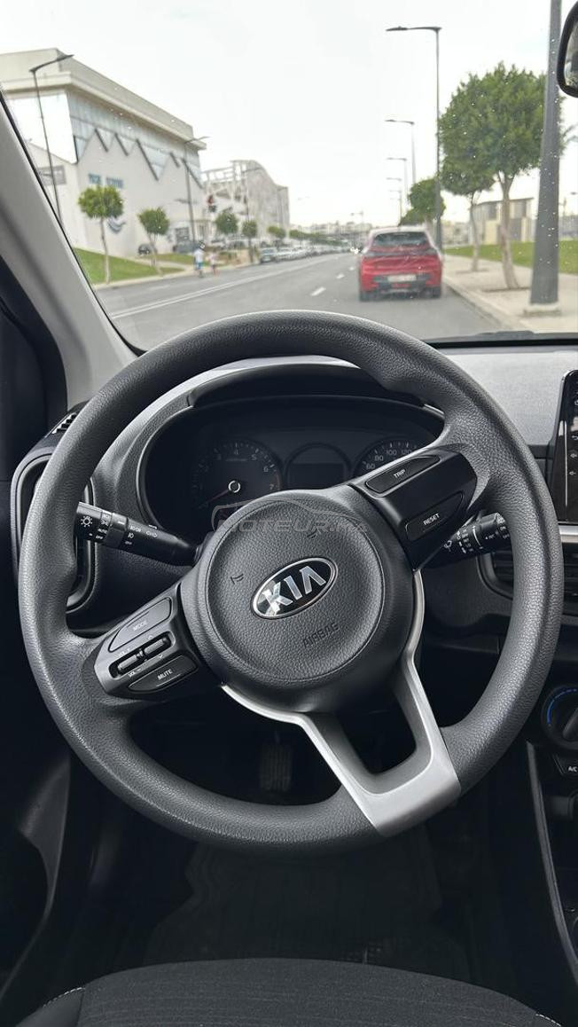 Kia Picanto Essence Manuelle 2020 à Tanger