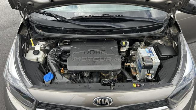 Kia Picanto Essence Manuelle 2020 à Tanger