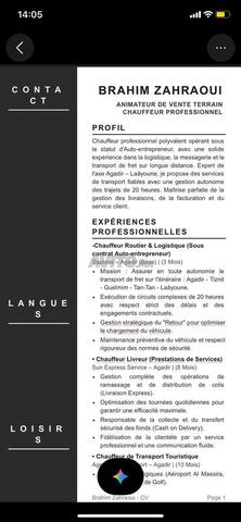 Chauffeur catégorie B cherche emploi