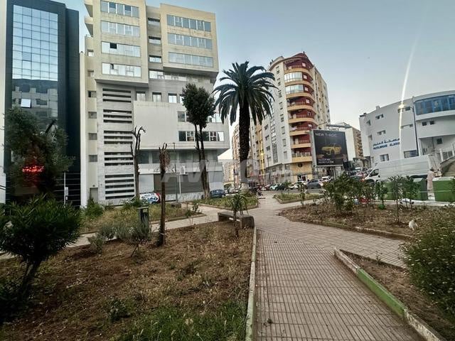 Plateau bureau neuf à louer hamria 1er étage
