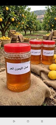 عسل حر مختلف الأزهار طبيعي، تقسيط وجملة - 2