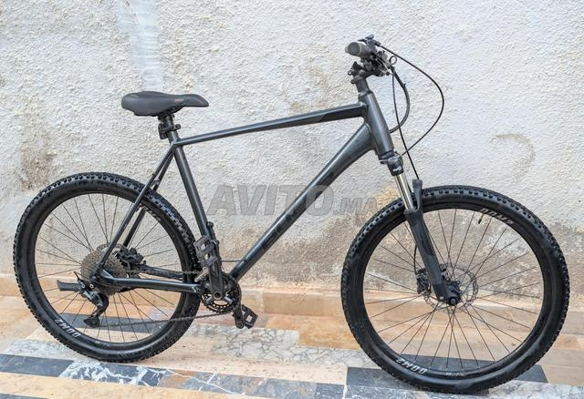 Bulls VTT XL