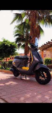 Location scooter Marrakech - 2