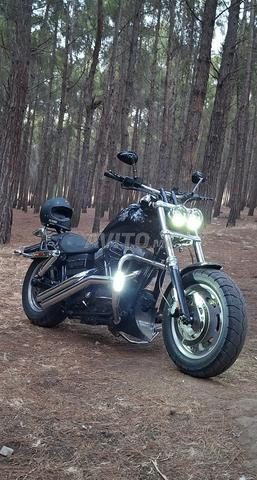 Fatbob comme neuve - 2