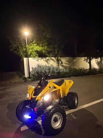 Can-Am 250DS - 2