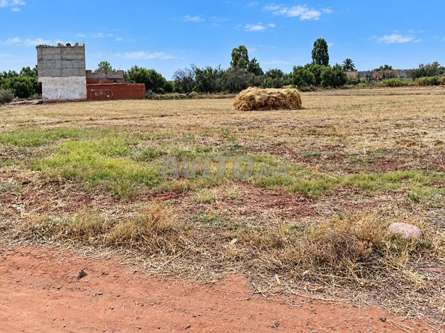 Terrain à vendre d'une superficie de 1019 m² - 2