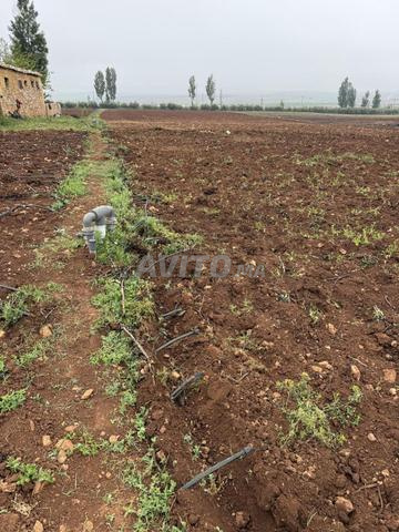 6 hectares à vendre - 2