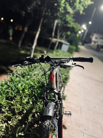 يعقوب المنصور - 2