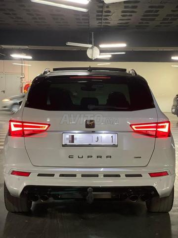 Cupra essence importée