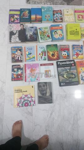 ٤٧ كتابًا مكتوبًا باللغة الدنماركية - 2