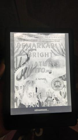 Tablette Amazon Kindle - 2