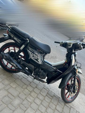 Vélo 33 2024 - 2
