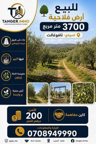 تافوغالت تافوغالت